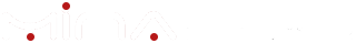 ALT LOGO